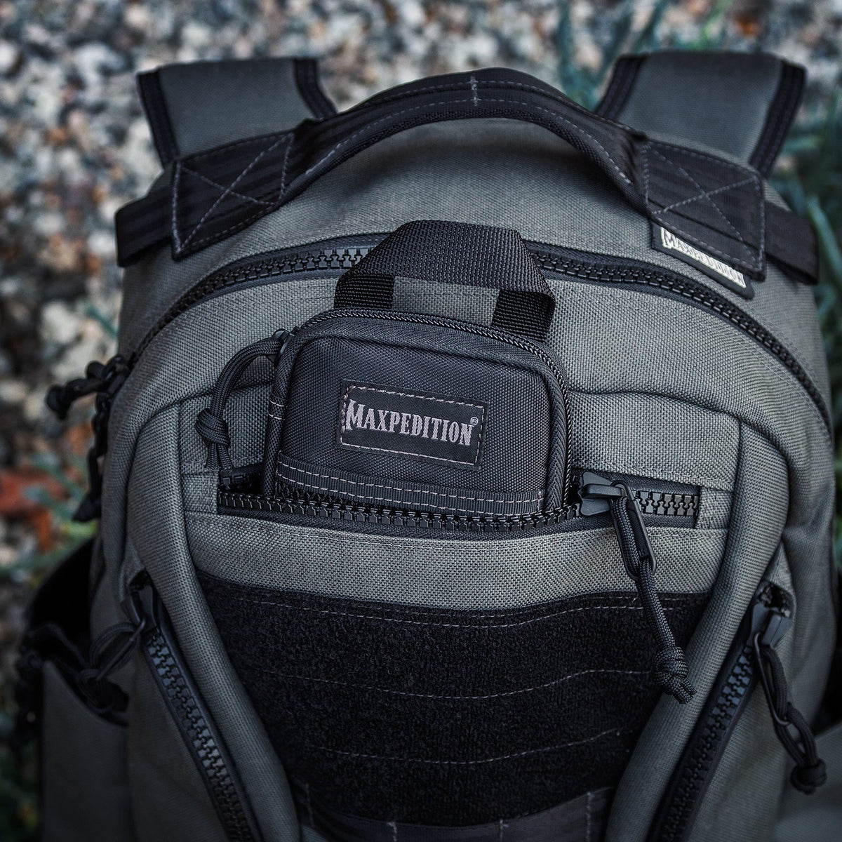 Maxpedition Micro Black Pocket Organiser