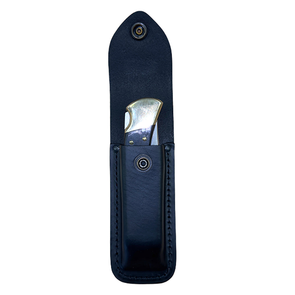 Buck 110 Hunter Folding Lock Knife