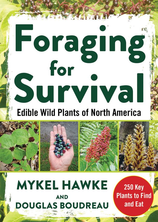Foraging For Survival Book