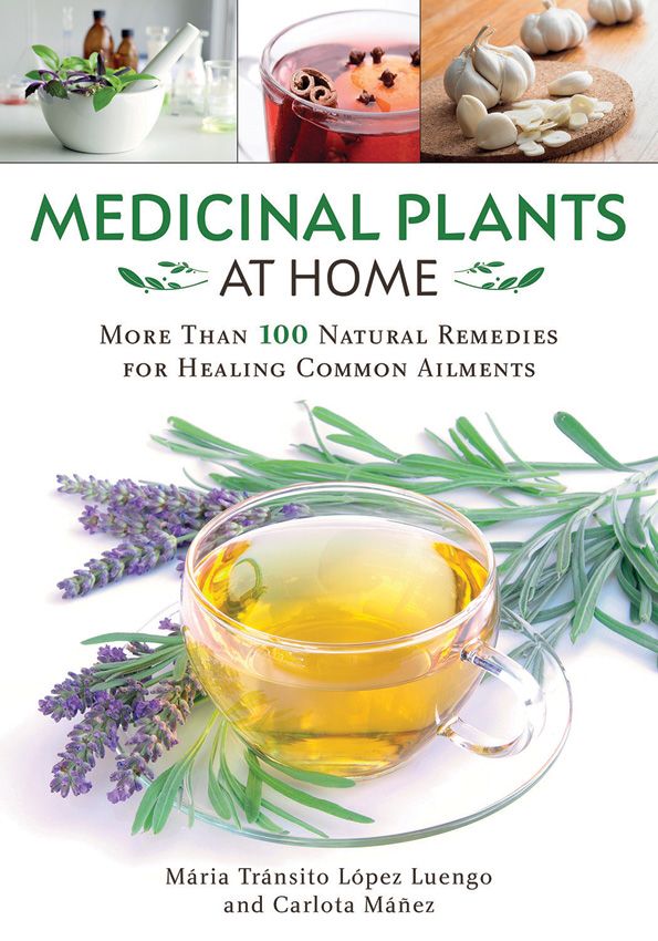 Medicinal Plants At Home Book