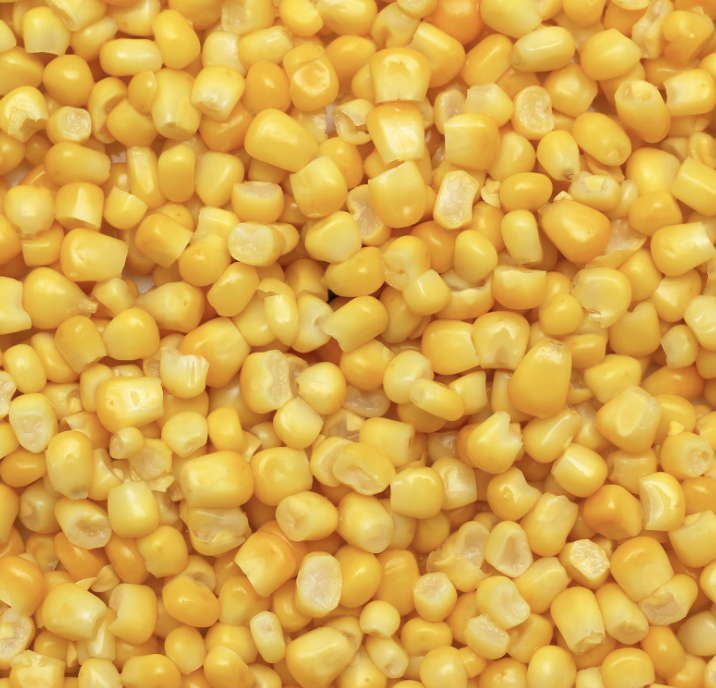 2.1kg Canned Sweetcorn- Bulk Food Ration Storage