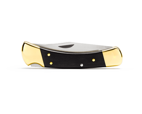 Buck 110 Hunter Folding Lock Knife