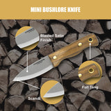 Condor Mini Bushlore Fixed Blade Knife