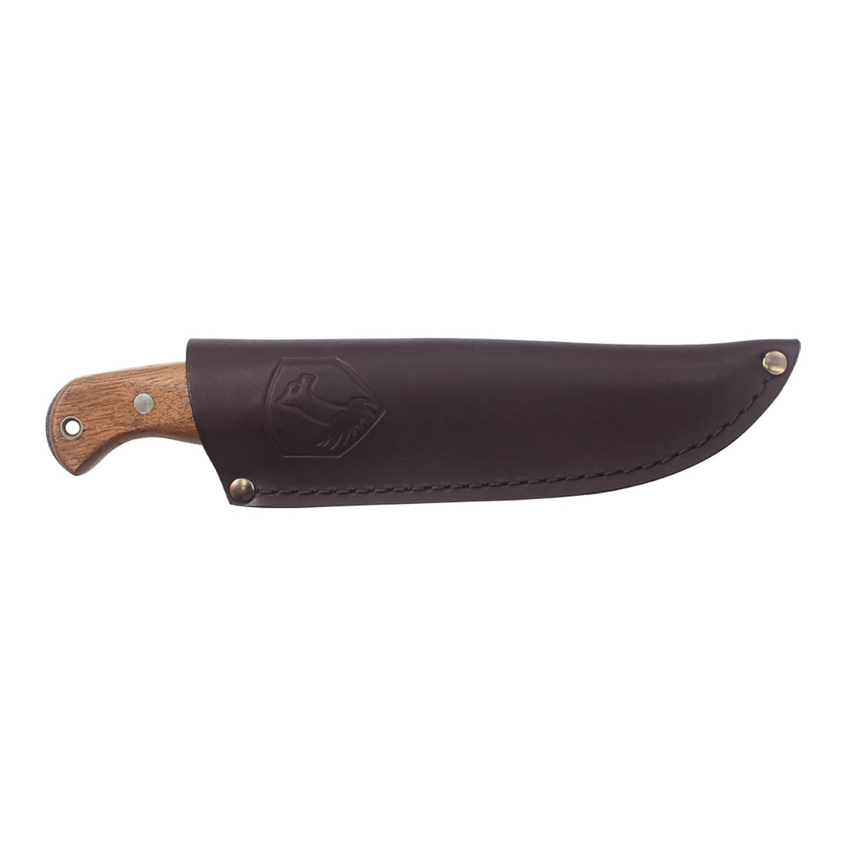 Condor Wayfinder Fixed Blade Knife
