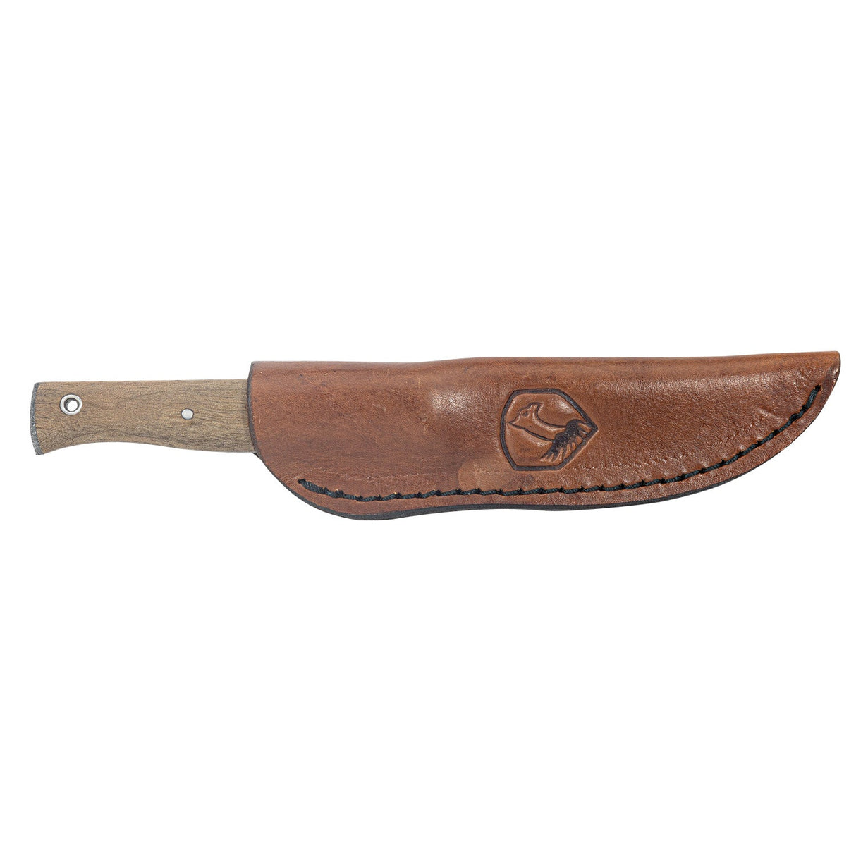 Condor Narrowsaur Fixed Blade Knife